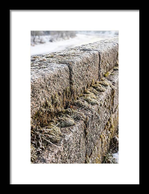 Winters Embrace On Stone