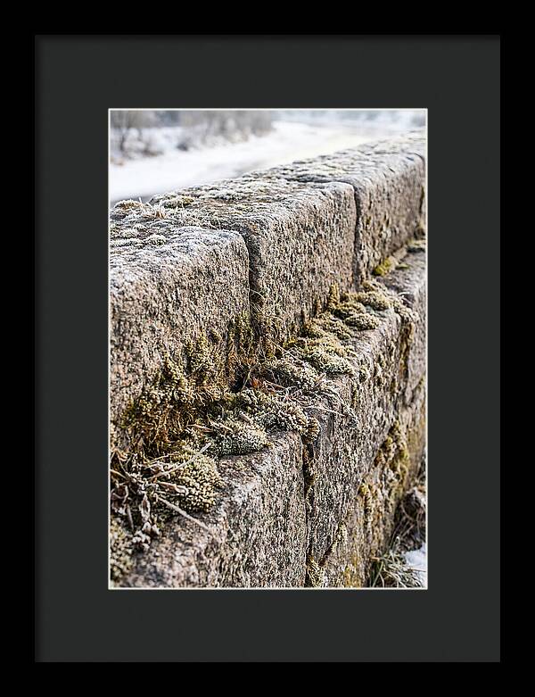 Winters Embrace On Stone