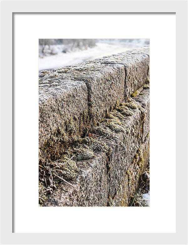 Winters Embrace On Stone