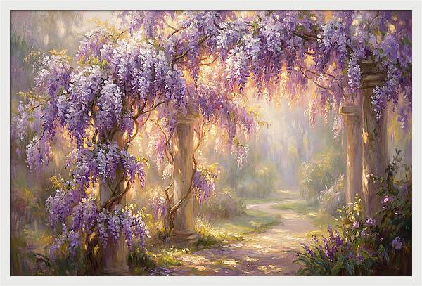 Wisteria Arch In Bloom