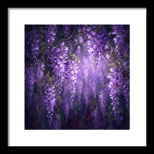 Wisteria Blooms
