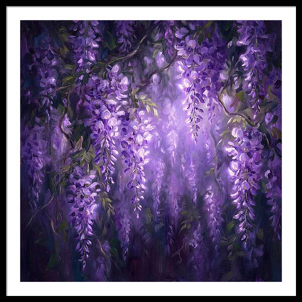 Wisteria Blooms