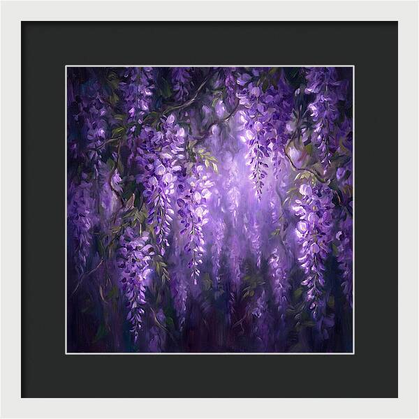 Wisteria Blooms