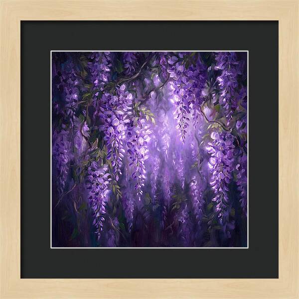 Wisteria Blooms