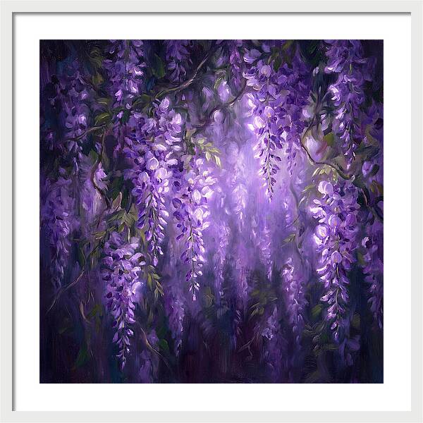 Wisteria Blooms