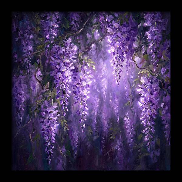 Wisteria Blooms