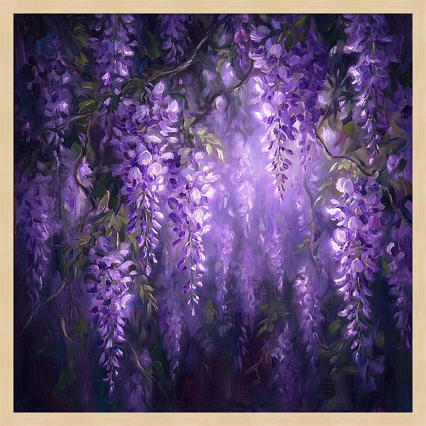 Wisteria Blooms