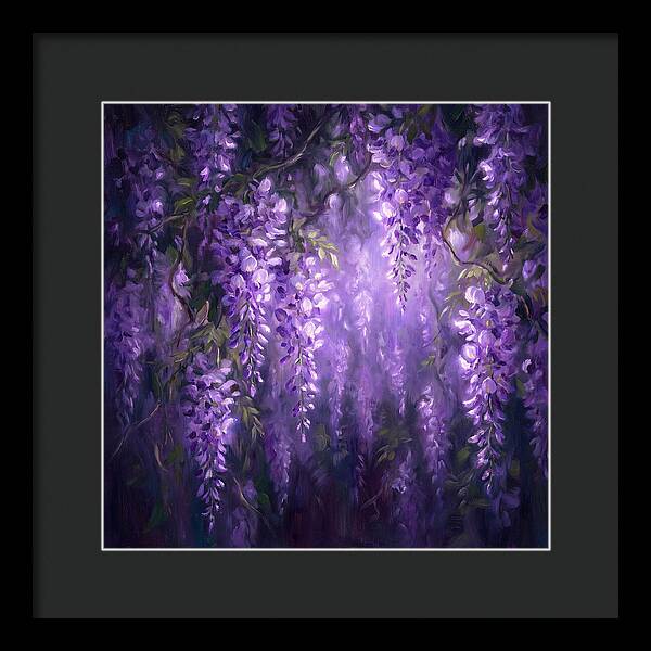 Wisteria Blooms