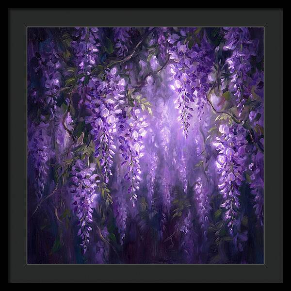Wisteria Blooms