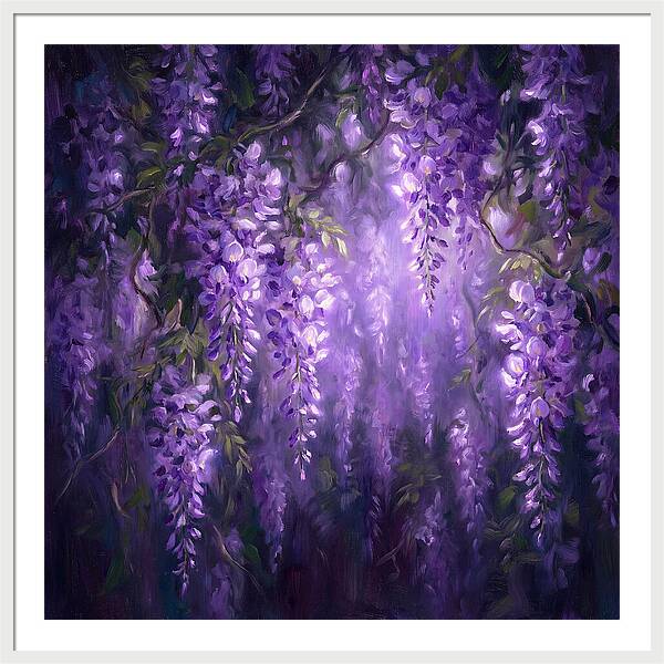 Wisteria Blooms
