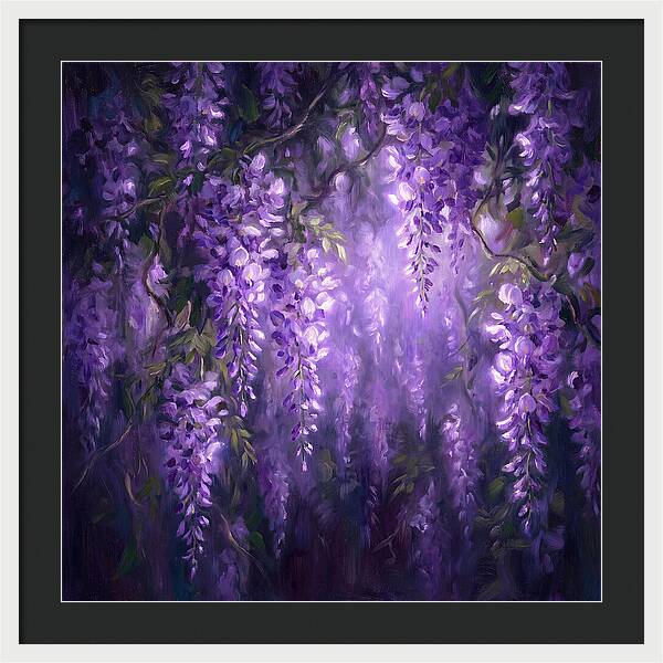 Wisteria Blooms