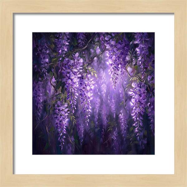 Wisteria Blooms