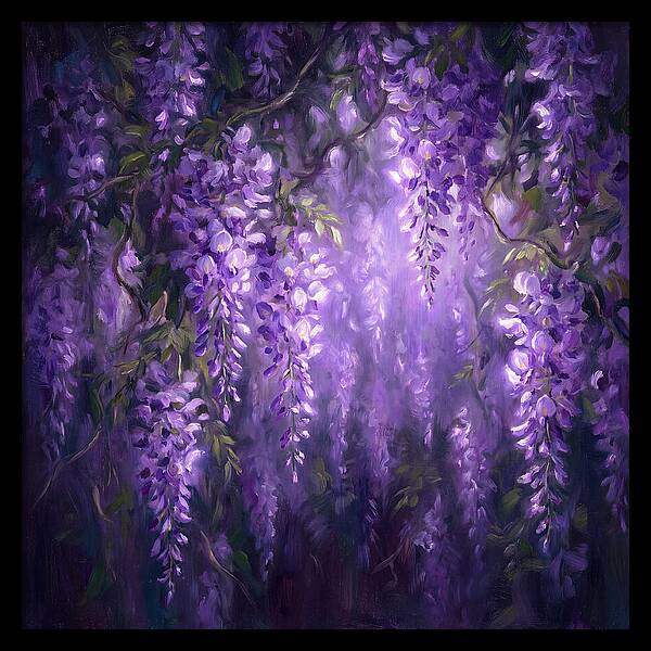 Wisteria Blooms