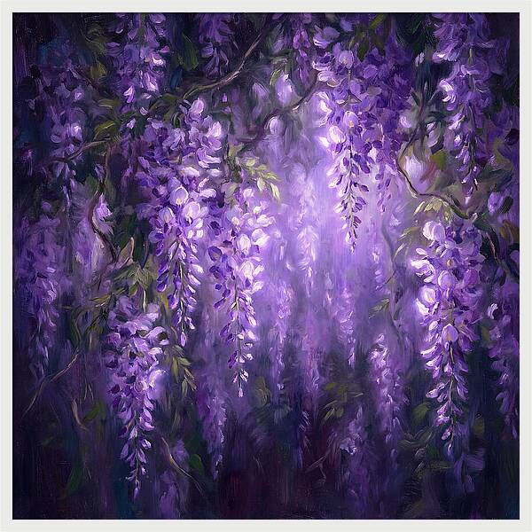 Wisteria Blooms