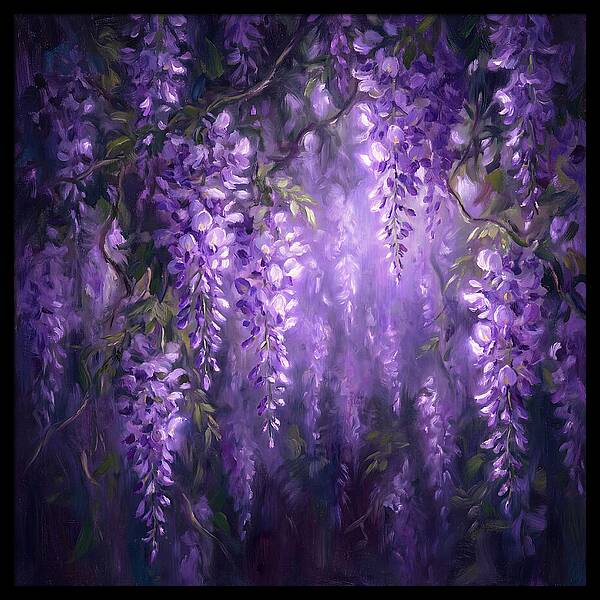 Wisteria Blooms