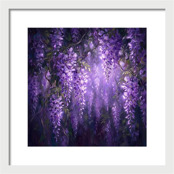 Wisteria Blooms