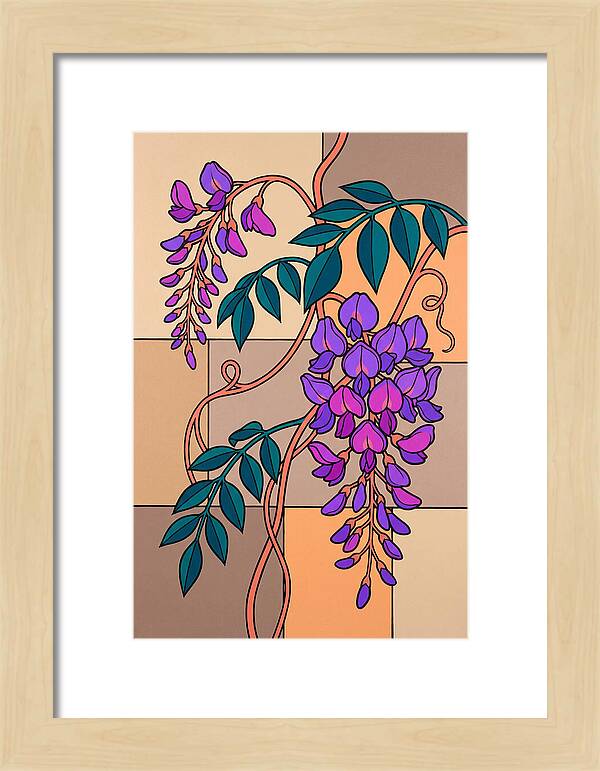 Wisteria Blooms In Color