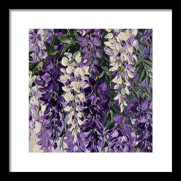 Wisteria Blooms In Full Color