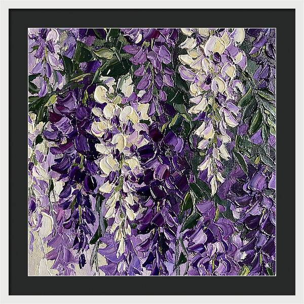 Wisteria Blooms In Full Color