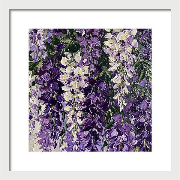 Wisteria Blooms In Full Color