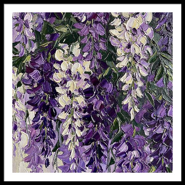 Wisteria Blooms In Full Color