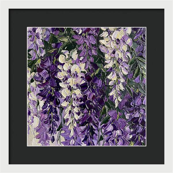 Wisteria Blooms In Full Color