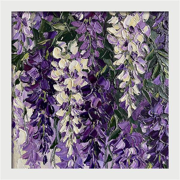 Wisteria Blooms In Full Color