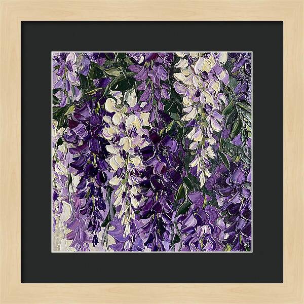 Wisteria Blooms In Full Color