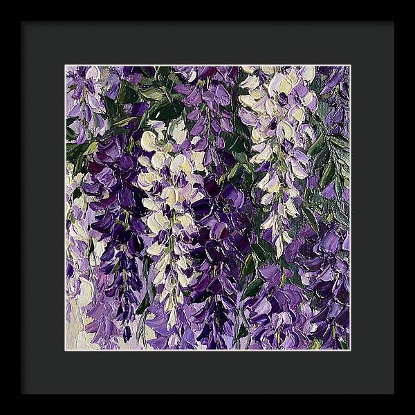 Wisteria Blooms In Full Color