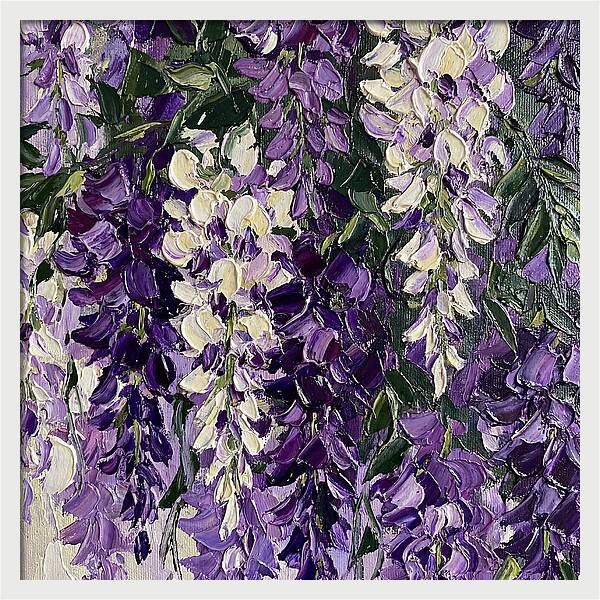 Wisteria Blooms In Full Color