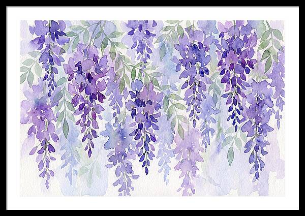 Wisteria Blooms In Watercolor
