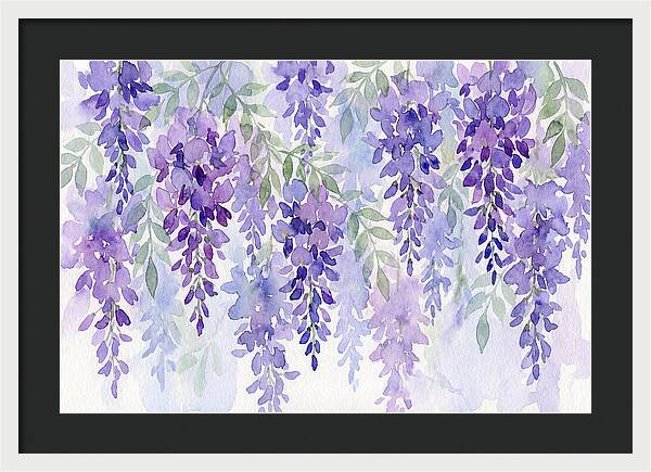 Wisteria Blooms In Watercolor
