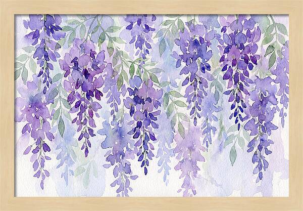Wisteria Blooms In Watercolor