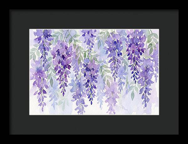 Wisteria Blooms In Watercolor