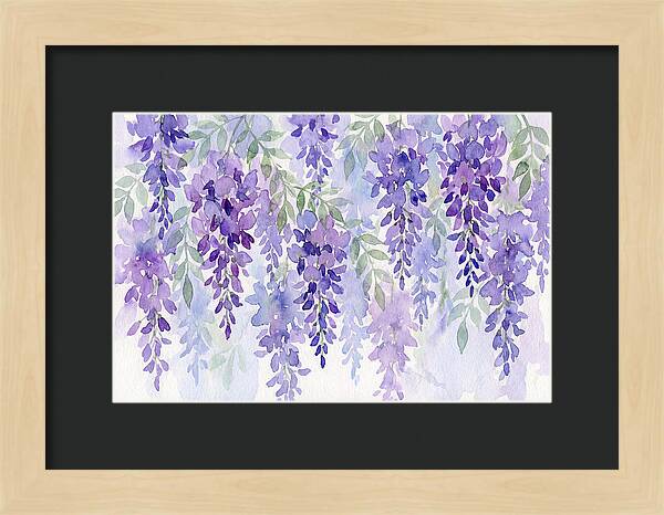 Wisteria Blooms In Watercolor