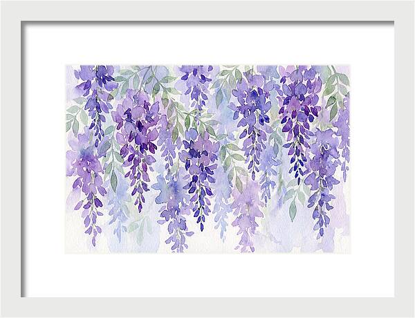 Wisteria Blooms In Watercolor