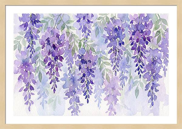 Wisteria Blooms In Watercolor