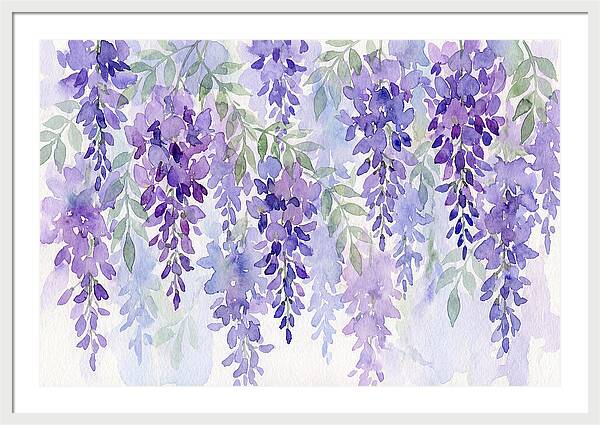 Wisteria Blooms In Watercolor