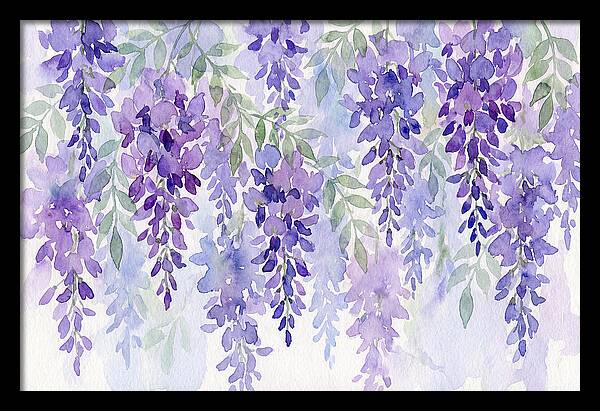Wisteria Blooms In Watercolor