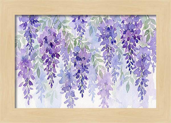 Wisteria Blooms In Watercolor