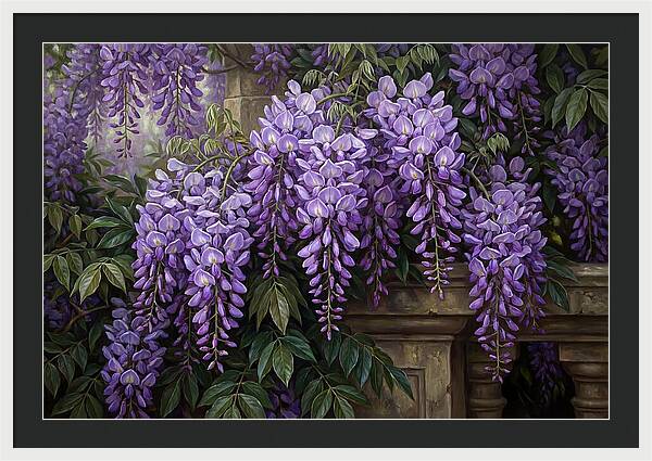 Wisteria Blooms Under Soft Light