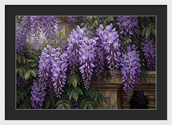 Wisteria Blooms Under Soft Light