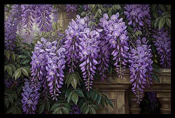 Wisteria Blooms Under Soft Light