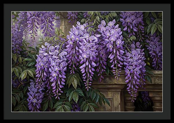 Wisteria Blooms Under Soft Light