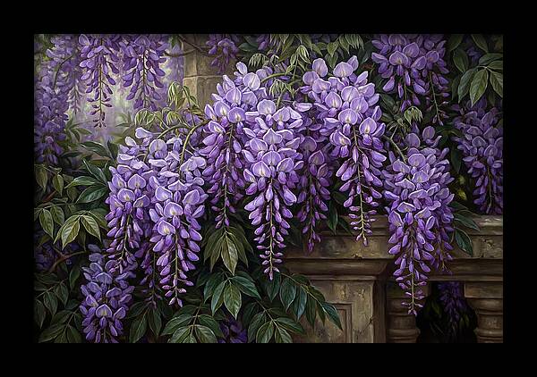 Wisteria Blooms Under Soft Light