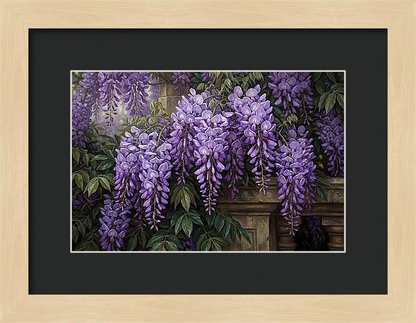 Wisteria Blooms Under Soft Light