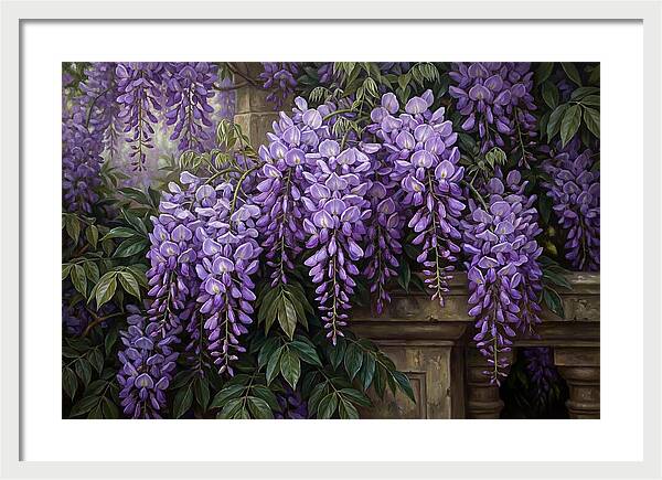Wisteria Blooms Under Soft Light