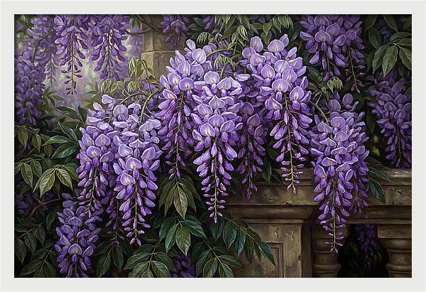 Wisteria Blooms Under Soft Light