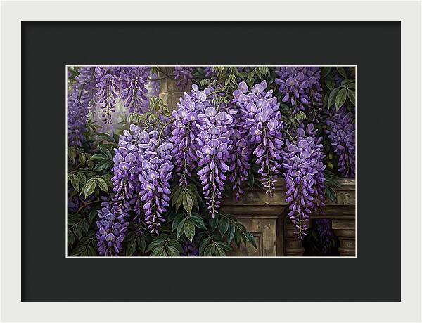 Wisteria Blooms Under Soft Light