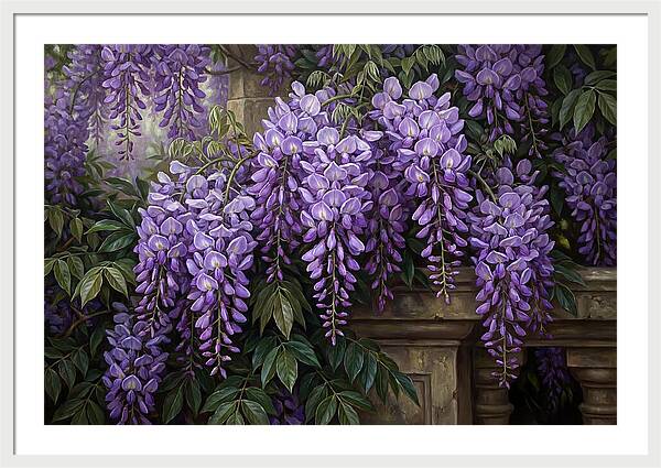 Wisteria Blooms Under Soft Light